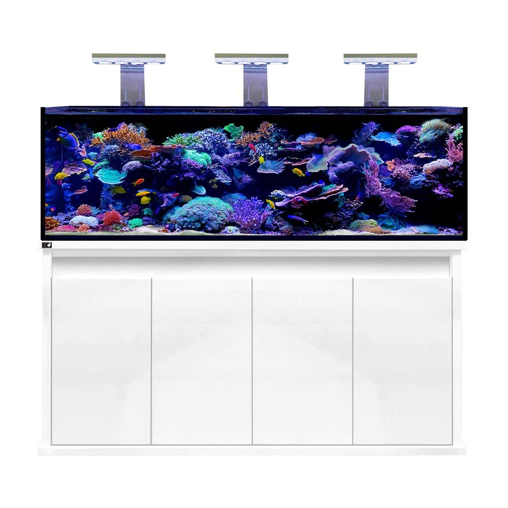 D_D Reef Pro 1800 White 1000px